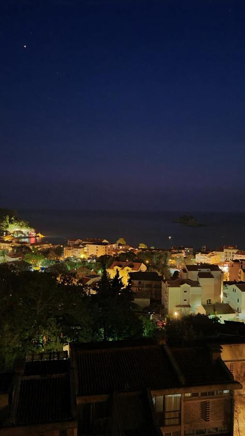 Anja & Ogo Apartments Sea View & Pool Petrovac 外观 照片