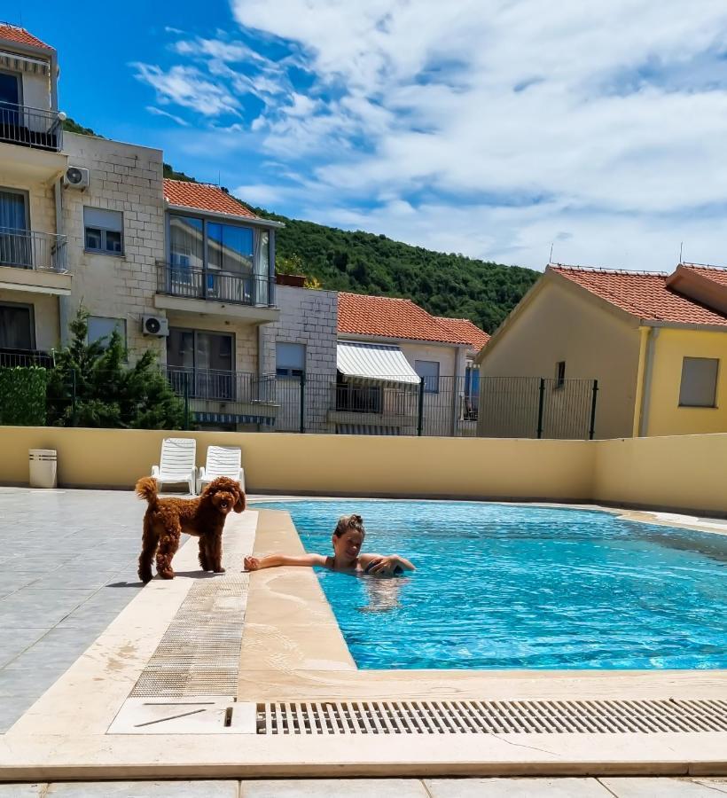 Anja & Ogo Apartments Sea View & Pool Petrovac 外观 照片