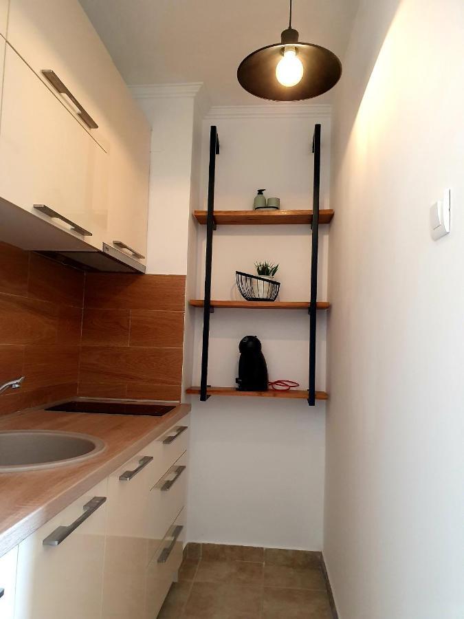 Anja & Ogo Apartments Sea View & Pool Petrovac 外观 照片